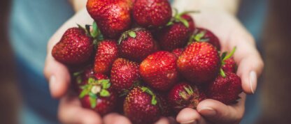 Handful of strawberries