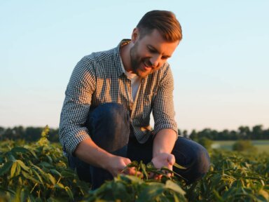 Man in field