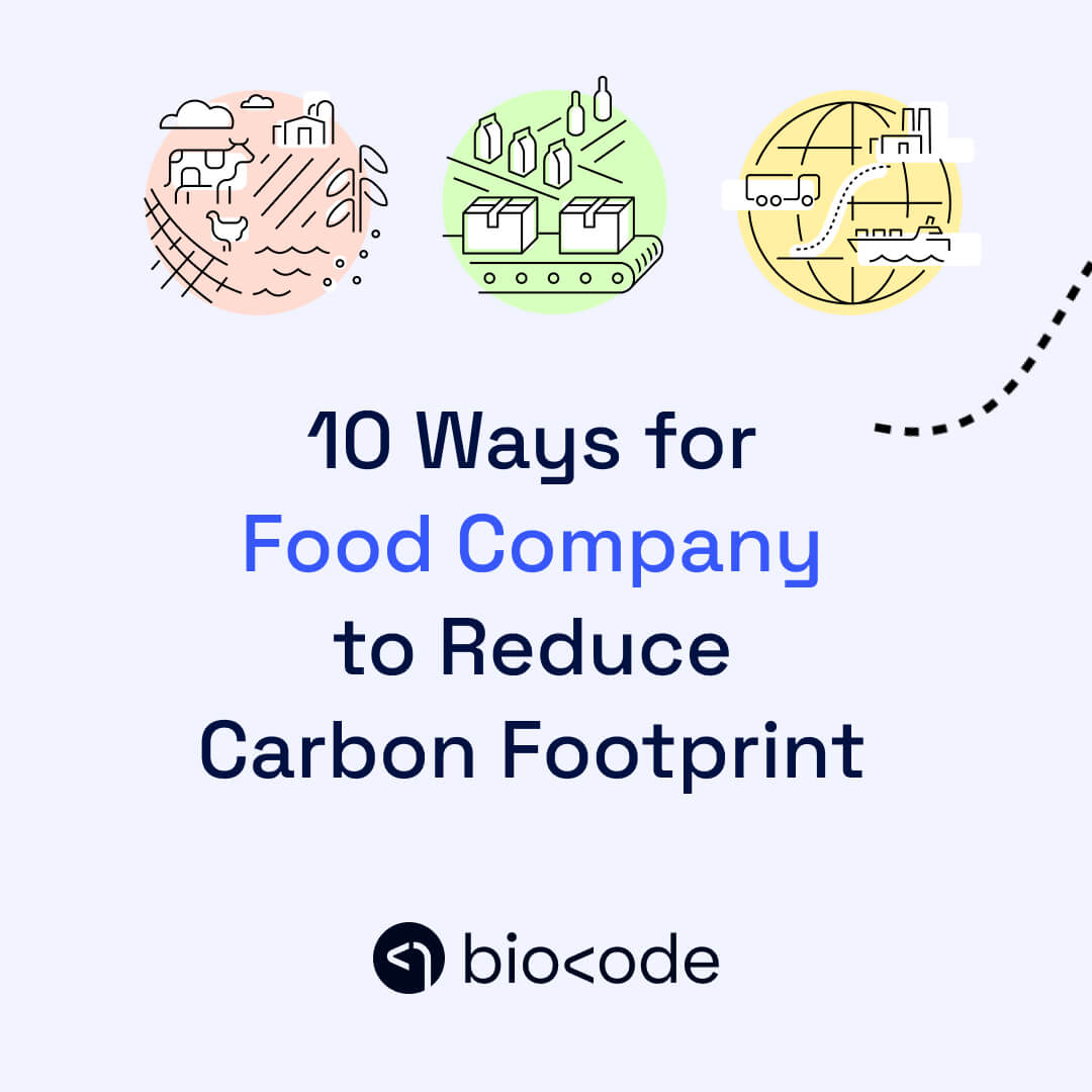 What Does The Carbon Footprint Of Food Consist Of What Does The Carbon Footprint Of Food Consist Of