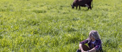 nainen istuu lehmien kanssa kesälaitumella